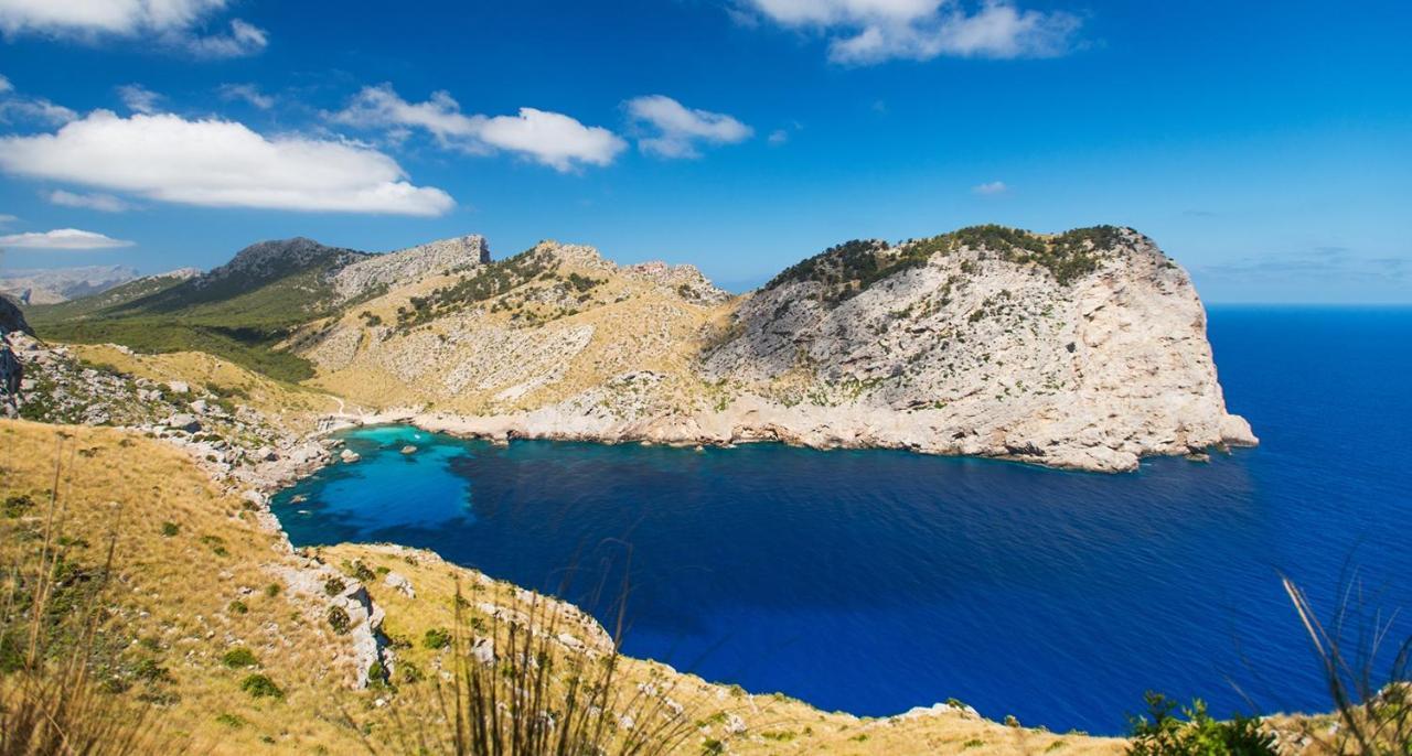 Seafront Ap Acuario Διαμέρισμα Port de Pollenca Εξωτερικό φωτογραφία